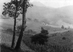 Eine Farm im Gebirge
