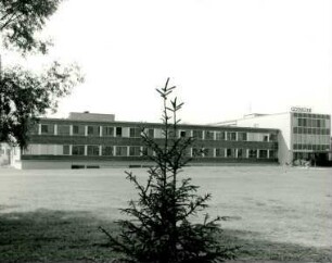 Gödecke, 1967
