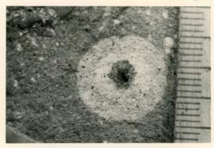 Bohrkern der Tiefenbohrung Freital (F 8 E), Teufe (Tiefe im Bergwerk) 187,20 m. Gebänderte Feinklastite, Bleichhof in Siltstein. Nördlich von Bannewitz, alte Kiesgrube