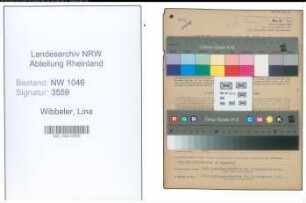 Entnazifizierung Lina Wibbeler , geb. 17.07.1909 (Schneiderin)
