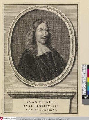 Joan de Wit