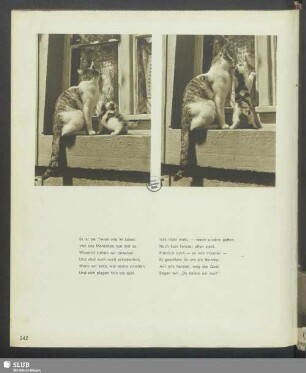 Katzen auf dem Fensterbrett I