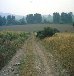 Steiniger Feldweg : Nahe der Unstrut