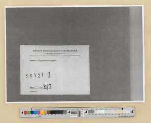 Gelbe Gewerkschaften