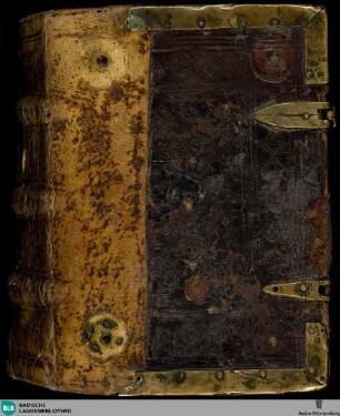 Lateinisches Stundenbuch - Cod. St. Peter perg. 38 a