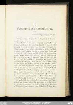 XIV. Regeneration und Fortentwicklung.