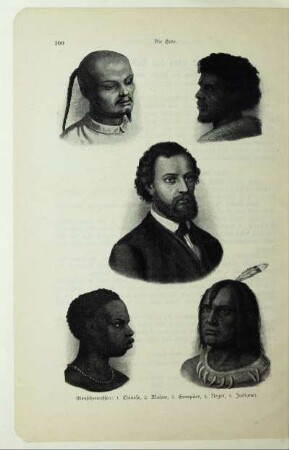 Menschenrassen: 1. Chinese, 2. Malaie, 3. Europäer, 4. Neger, 5. Indianer