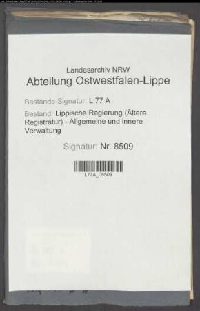 Straßenbau bei Leopoldstal