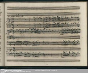 Aria: Qual di sogno ombra leggiera