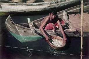 Schwimmender Händler : Reisefotos Asien. Muschelhändlerboot