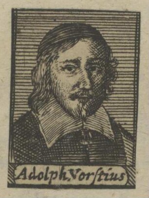 Bildnis des Adolphus Vorstius