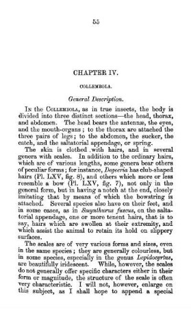 General Description.