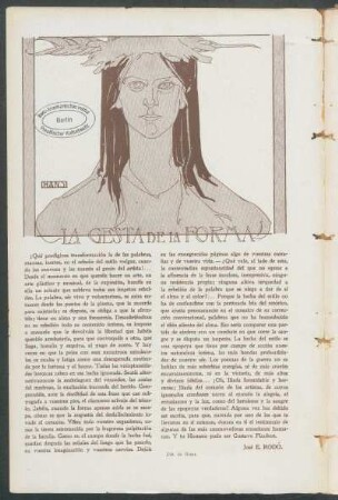 La gesta de la forma
