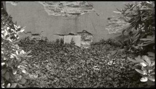 Sonntag #10