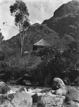 Cuticuchu : Blick auf die Vegetation und eine Hütte in Cuticuchu.