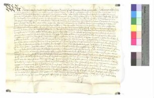 Bürgermeister und Rat der Stadt Gmünd verkaufen an Mutter und Schwestern im Seelhaus zu Gmünd 9 Gulden jährlichen Zins um 200 Gulden.