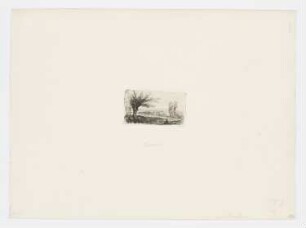Landschaft