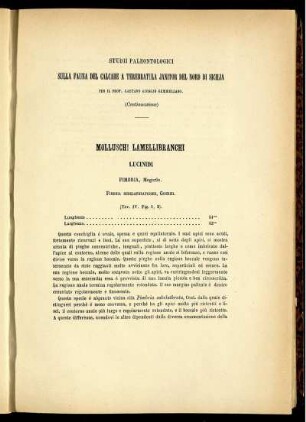 Molluschi Lamellibranchi