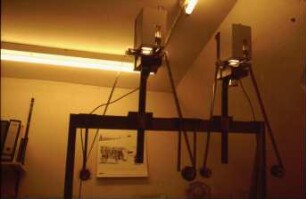 Fotografie: Tierverhalten, Stereobildanalyse, Informationstechnik, Messtechnik