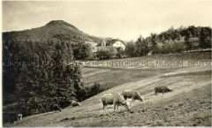 Ölberg und Margarethenhof