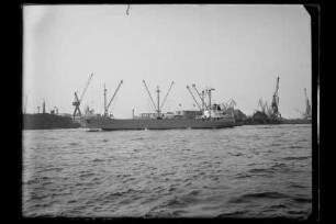 Anchen Felter (1965), Felter, Hamburg