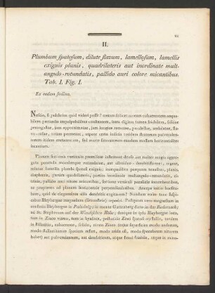 II. Plumbum spatosum, dilute flavum, lamellosum, lamellis exiguis planis, ... Tab. I. Fig. I