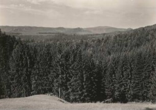 Sächsische Schweiz. Waldlandschaft bei Hinterhermsdorf mit Großem Winterberg von der Straße Bad Schandau - Hinterhermsdorf