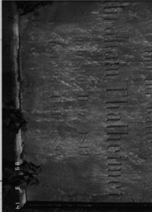 Grabstein 486 (Index: 100093043) Maße HxBxT: 240x103x37 cm Symbolik: Fächer, Verzierungen Besonderheit: Doppelgrab für Eheleute: Grabstein 486E