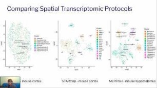 Application of LIGER to integration of seq-FISH and scRNA-seq