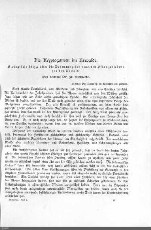 II. Die Kryptogamen im Urwalde.