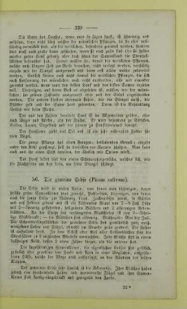 56. Die gemeine Erbse (Pisum sativum)