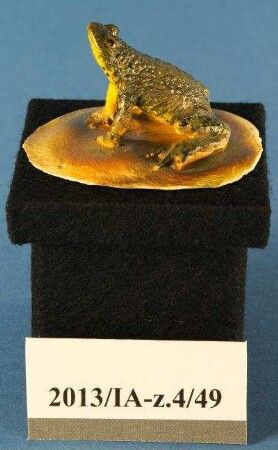 Gelbbauchunke