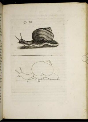 C. 316