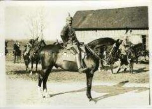 Wilhelm II. im Weltkrieg