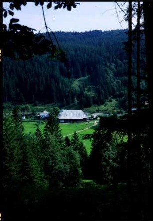 Bärental: vom Höhenweg Titisee - Feldberg, Bärental mit Löffelschmide