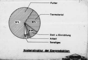 Kostenstruktur der Eierproduktion