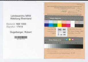 Entnazifizierung Robert Gugelberger, geb. 18.04.1899 (Foerster)