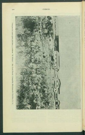 Tanques de acero para petróleo, y talleres "El Ebano".San Luis Potosí. Compañía Mexicana de Petróleo, S. A. [Fotografía]