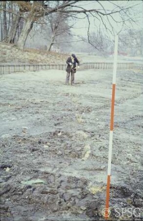 Berlin, Schlossgarten Charlottenburg, Umgebung Karpfenteich, Sanierungsarbeiten am Karpfenteich im Frühjahr 1980, westliche Spundwand von Süden.