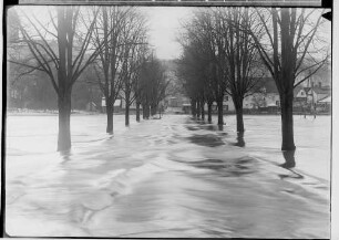 Donauhochwasser Sigmaringen im Januar 1936; Überflutete Burgstraße