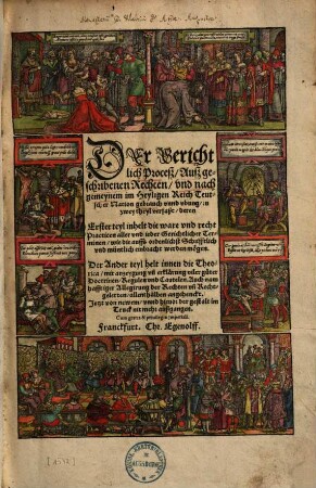 Der Gerichtlich Proceß, auß geschribenen Rechten, vnd nach gemeynem im Heyligen Reich Teutscher Nation gebrauch vnnd vbung ...