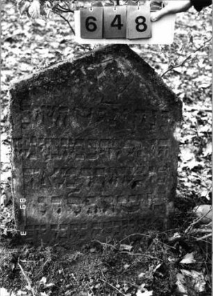 Grabstein 648 (Index: 99752462) Material: Sandstein Zustand: gut, Stele eingesunken Maße HxBxT: 85x67x12 cm Beschreibung: Stele, giebelartiger Abschluß, Schriftfeld eingetieft Symbolik: Levitenkanne: Grabstein 648