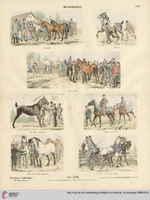Nro. 1166