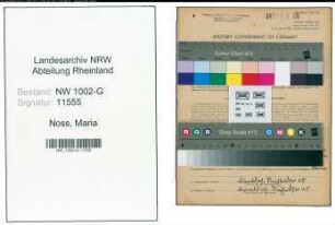 Entnazifizierung Maria Noss, geb. 30.09.1896 (Kellnerin)