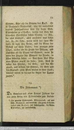 13. Die Fledermaus