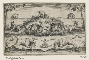 Wildschweine und Ochsen