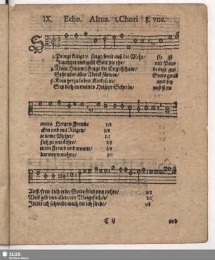 IX. Springt klingt und singt breit aus die Mär