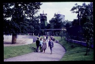Zoo 27.6.65.