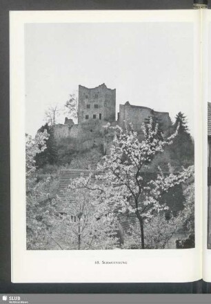Schauenburg