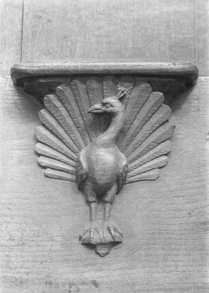 Pfau